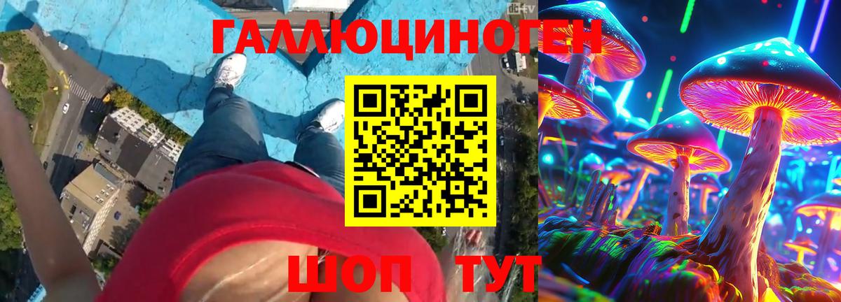 Галлюциногенные грибы Magic Shrooms  Вход с VPN  где найти наркотики  Черкесск 